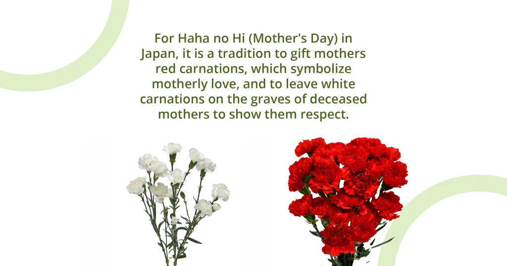 Mother's day tradition in Japanese culture