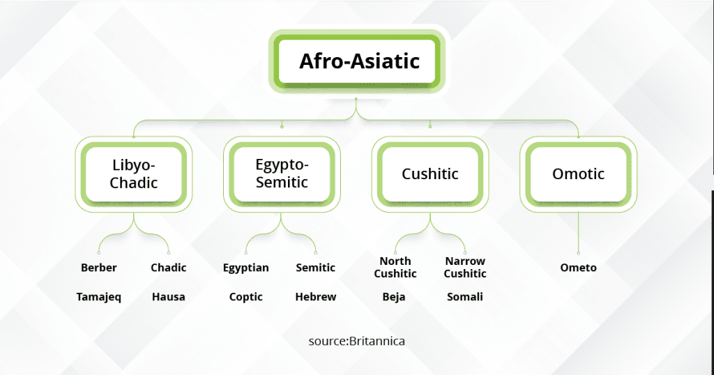 Image of Afro-Asian individuals, highlighting cultural diversity and the Somali language's Cushitic roots.
