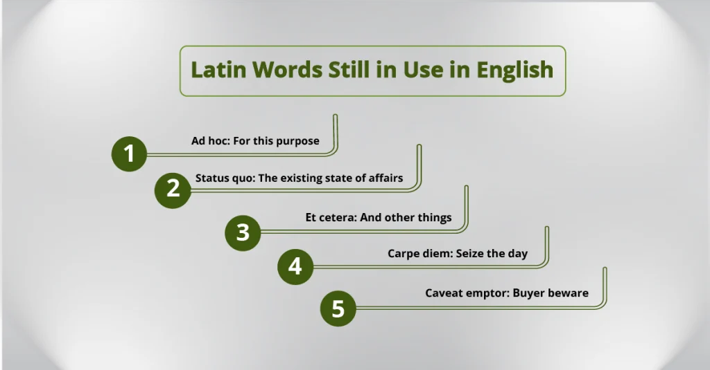 Flowchart depicting steps for mastering Latin vocabulary, showcasing its influence on contemporary languages and academic fields.