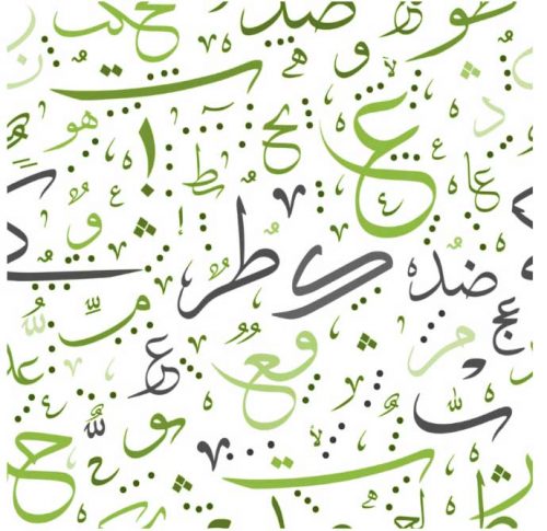 Alphabet & Vocabulary Alphabet & Vocabulary